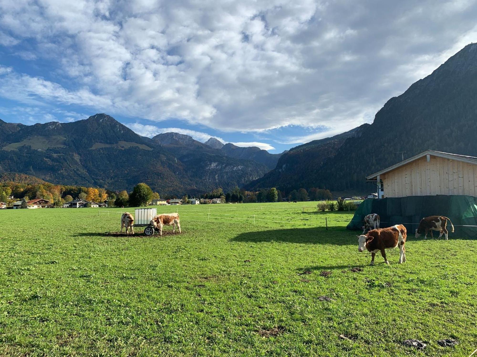 Ferienwohnung Hochkalterblick Schönau am Königssee Buitenkant foto